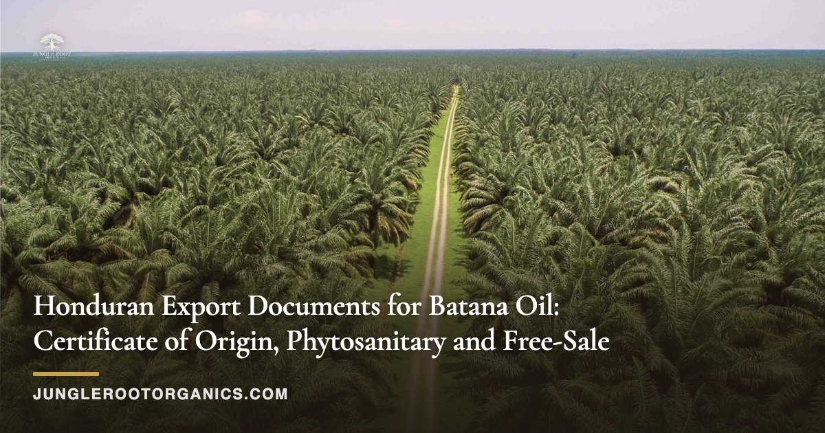 Honduran Export Documents for Batana Oil: Certificate of Origin, Phytosanitary and Free-Sale
