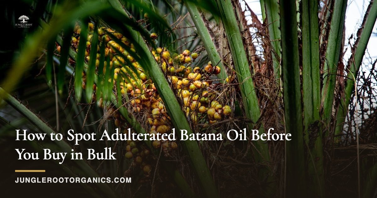 How to Spot Adulterated Batana Oil Before You Buy in Bulk