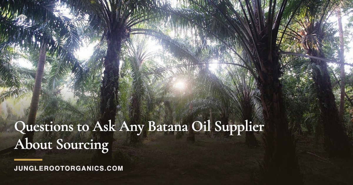 Questions to Ask Any Batana Oil Supplier About Sourcing