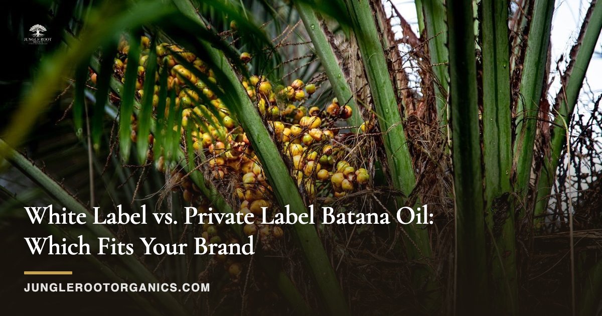 White Label vs. Private Label Batana Oil: Which Fits Your Brand